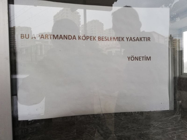 Adana'da apartmanda skandal yazı: İlk defa böyle bir şeyle karşılaştık - Resim: 2