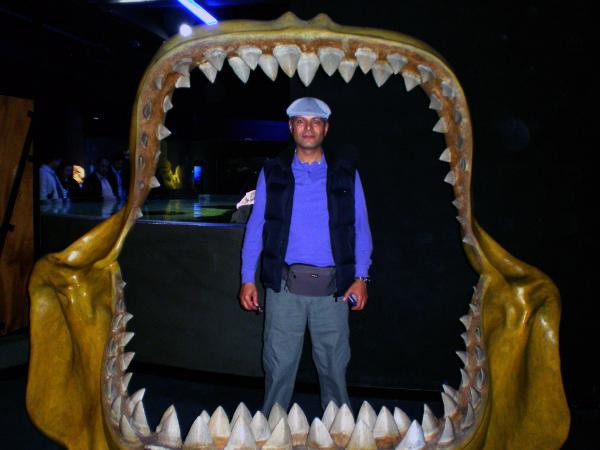 Sakın yemeyin! Hayır için bedavaya dağıtılıyor: Farkında olmadan zehirle dolduruyorsunuz - Resim: 4