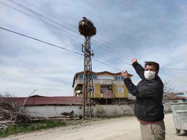 Amasya'da 300 yıldır rehberlik ediyor! Geleceği hissedebiliyorlar - Resim: 0