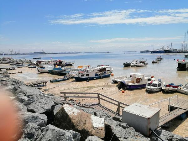 Salya kabusu sürüyor! Şimdi de Pendik Marina'yı kapladı - Resim: 0