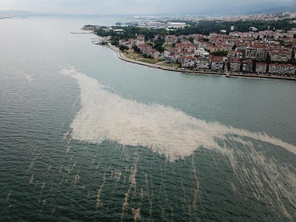 Deniz salyası kabusu sonrası yetkililere çağrı: Marmara'yı kurtarın - Resim: 1