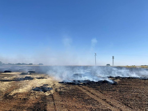 Şanlıurfa'da gördüğü manzara karşısında hayatının şokunu yaşadı - Resim: 0