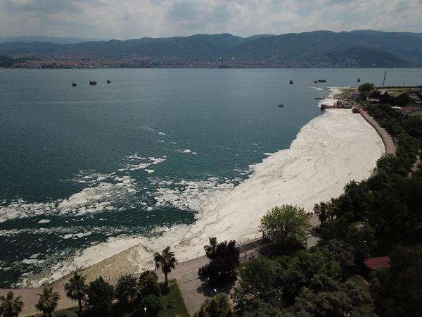 İzmit Körfezi yeniden deniz salyası ile kaplandı - Resim: 0