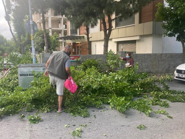İstanbul'da kovayı kapan soluğu orada aldı: Son ikramını yaparak veda etti - Resim: 0