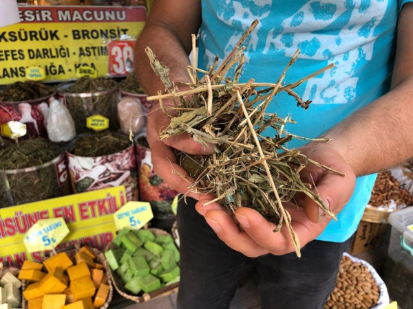 Eskişehir'de covid-19'u atlatan sihirli ot alıyor! Yoğun talep patlaması - Resim: 0