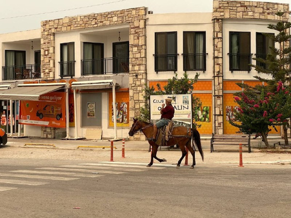 Milas Ören boşaltıldı! Atıyla geldi o halde görünce geri döndü - Resim: 0