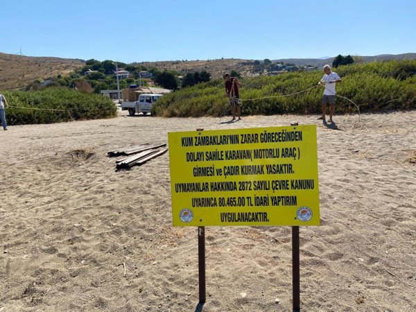 İzmir'de bu çiçeği koparan yandı! Cezayı duyanlar inanamadı - Resim: 0