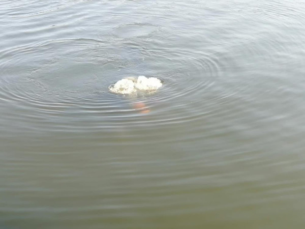 Balıkesir'de 4 gündür kayıp genç kızdan acı haber! Bakın nerede bulundu - Resim: 0