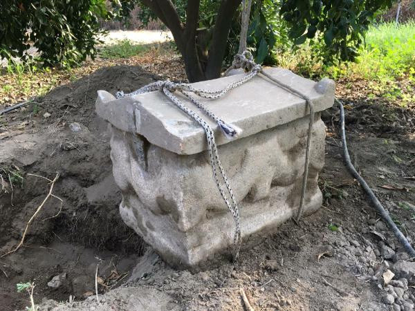 İzmir'de operasyonda ele geçirildi! 750 bin dolara satacaklardı - Resim: 1