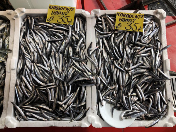 Bu yıl kimse balık yemedim demesin! Bolluk yaşandı fiyatlar düştü - Resim: 0