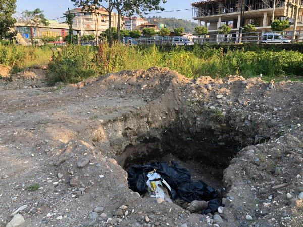 Giresun'da vahşet! Çukurda 10 ölü köpek bulundu - Resim: 0