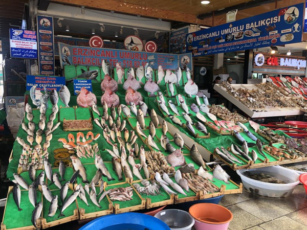 Balıkçılar müjdeyi verdi! Vatandaş bu yıl balığa doyacak: İşte balık fiyatları... - Resim: 0