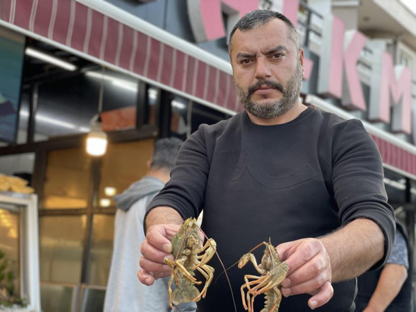 Tezgahta 30 TL masada 500 TL! Düzce'de vatandaşlar ilk kez gördü - Resim: 0