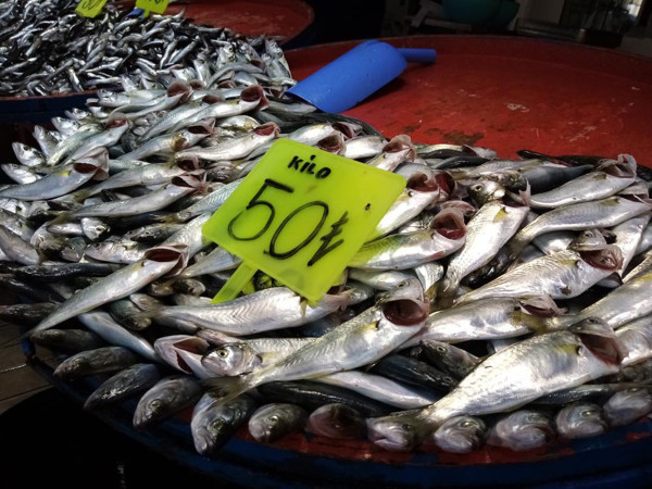 Yüksek fiyat rekoru kırıyor! Çinekop kırmızı et ile yarışıyor - Resim: 0
