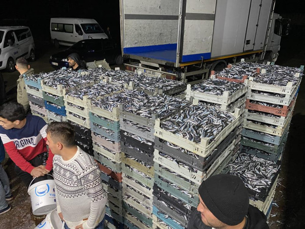 Bartın'da denizde hamsi bolluğu! Kasa kasa çıktı: Ücretsiz dağıtıldı - Resim: 1