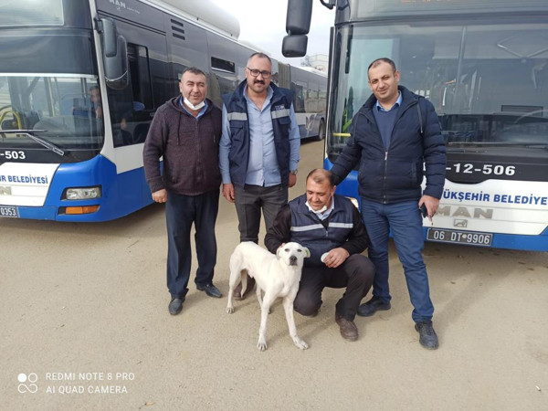 İstanbul'un Boji'sine Ankara'dan rakip çıktı! Otobüslerde görenler şaştı kaldı - Resim: 0