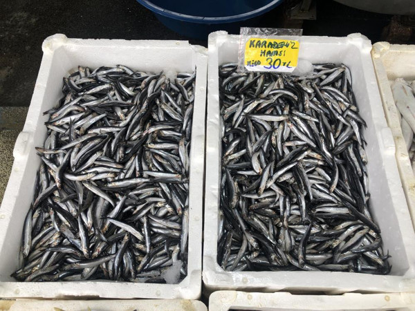 İstanbul'da fırtına ve yağmurla fiyatlar yükseldi! Tezgahlar cep yaktı - Resim: 0