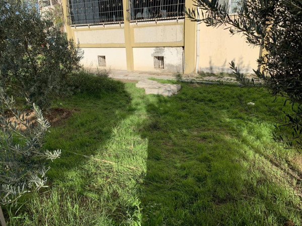 Adana'da sabah sesi duyup balkona çıkanlar şok oldu - Resim: 0