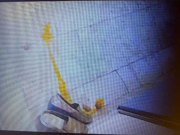 Suçluyu bulmak için evin kapısına gizli kamera yerleştirdi görüntüleri izleyince gözlerine inanamadı - Resim: 0