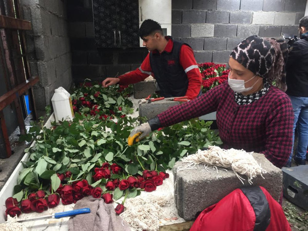 Fiyatı 3 TL'den 20 TL'ye çıktı! Üretim 40 binden 15 bine düştü: Sipariş verip isteyen çok ama ortada mal yok - Resim: 0