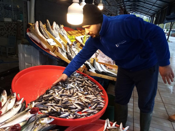 Av yasağı geldi, hamsinin fiyatı uçtu! Balık tezgahları cepleri yaktı - Resim: 0