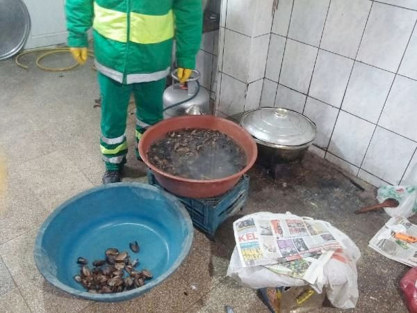 Midye dolma operasyonundan şok görüntüler - Resim: 1