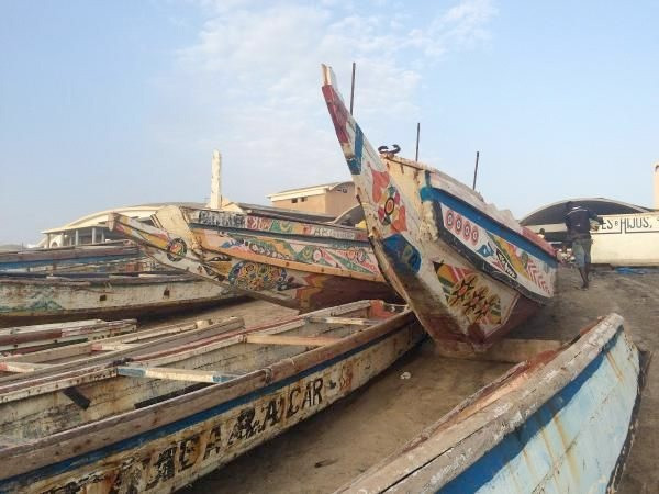 Kumpas davaları kurbanı Albay Üçok'un yeni işi şaşırttı - Resim: 2