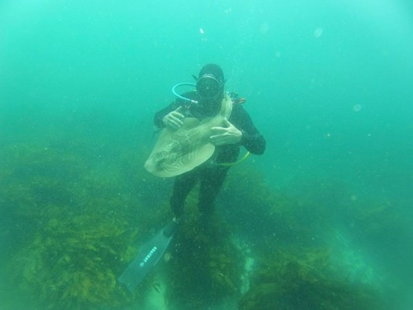 Köpekbalığıyla kanka oldu selfie çekti - Resim: 4