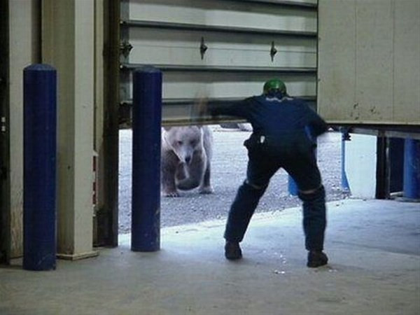 Hiçbir şey olmaz dedi yanına gitti 1 saniye sonrası ise inanılmaz - Resim: 4