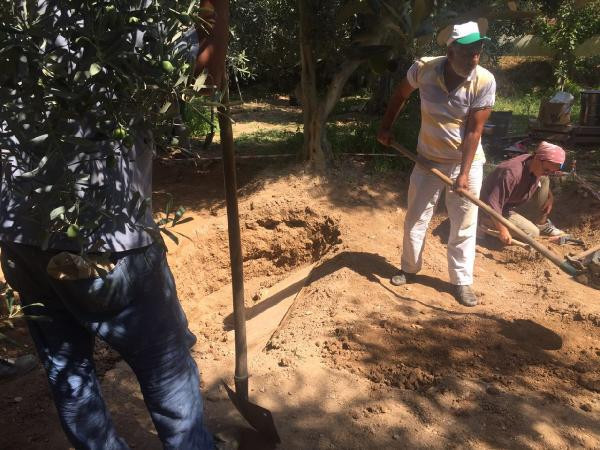 Bursa'da 'lahit tarlası' için 1 milyon 94 bin lira değer! - Resim: 3