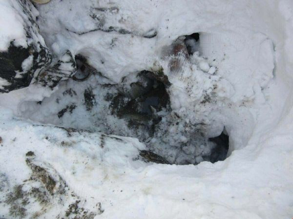 PKK sığınağında infaz! İçinden çıkanlar şok etti valilik açıkladı - Resim: 3