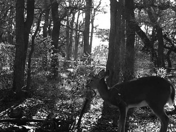 Metruk binanda bir anda beliren görüntü kan dondurdu! - Resim: 2