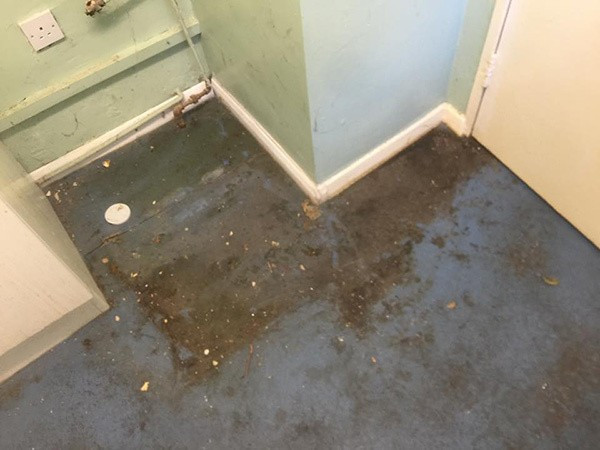 21 yıldır evine kimseyi almadı kapı açılınca herkes şoke oldu - Resim: 4