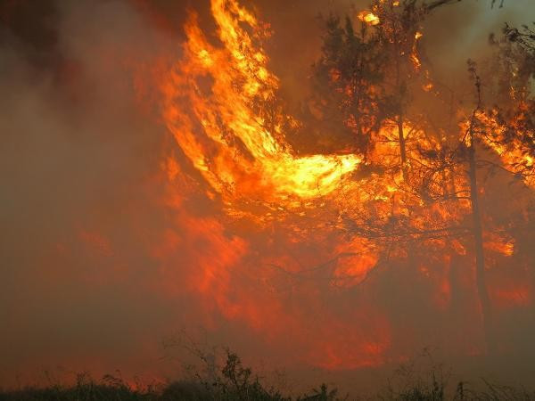 İzmir yangını Manisa'ya ulaştı! Son durum ne? - Resim: 1