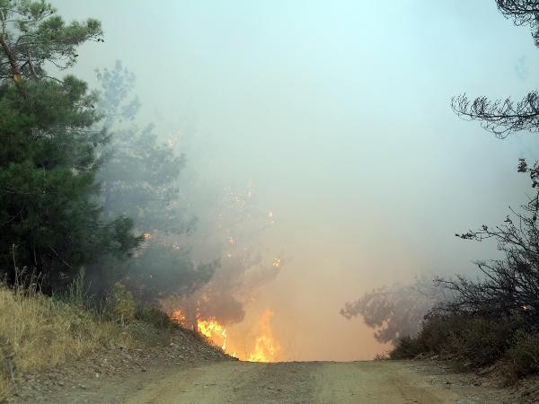 İzmir yangını Manisa'ya ulaştı! Son durum ne? - Resim: 2