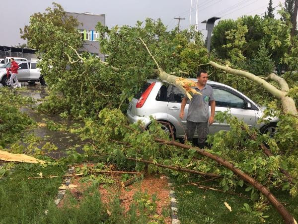 5 dakikada şehir göle döndü ağaçlar devrildi - Resim: 1