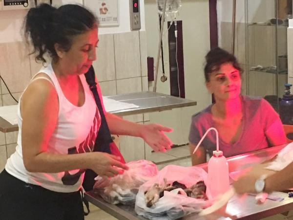 Bunu insan yapmaz! Kafaları ezilmiş halde buldular - Resim: 4