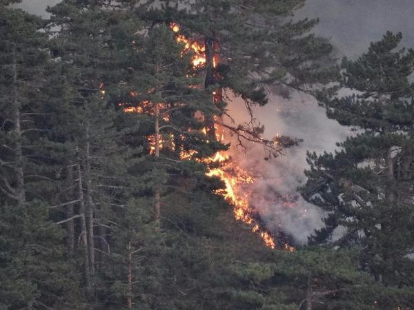 Kütahya'da orman yangını felaket havadan böyle görüntülendi - Resim: 2
