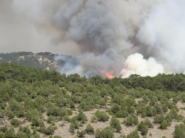 Kütahya'da orman yangını felaket havadan böyle görüntülendi - Resim: 4