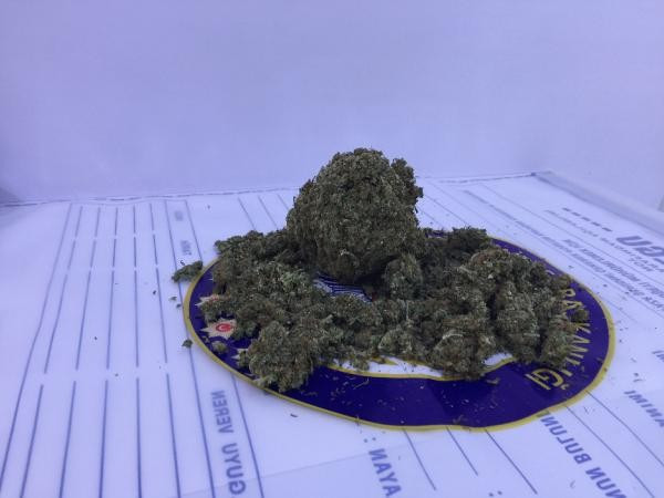 Park halindeki araçtan çıkanlar hayrete düşürdü - Resim: 1