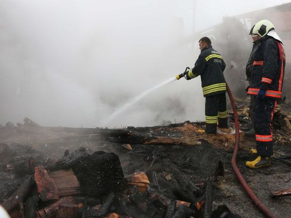 Ali dede kedilerine  kavuşmak için gün sayıyor - Resim: 2
