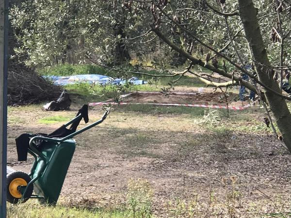 İznik'te lahit bulundu yetkililer bölgeye kimseyi sokmuyor! - Resim: 4