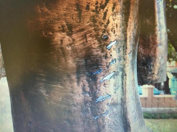 Atatürk Anıtı'na baltayla saldıran kadın aranıyor - Resim: 4