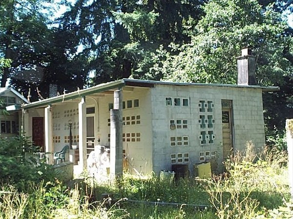 Temizlikten bıkan kadından akılalmaz icat - Resim: 2