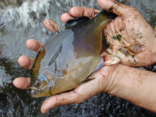 An be an görüntülendi onlar bir mucizeye şahit oldu - Resim: 4