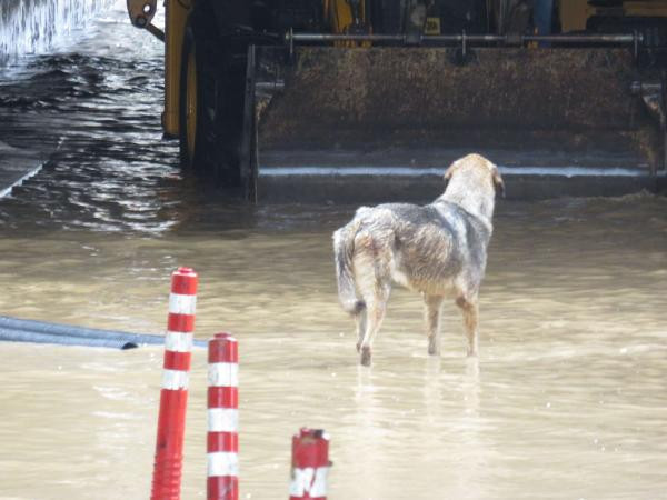 Araçlar mahsur kaldı yol kapatıldı! İstanbul'da korkunç manzara - Resim: 3