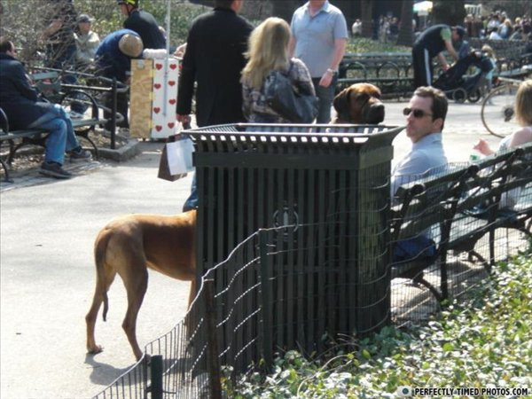Tık rekoru kıranlar arasındaki kareler! - Resim: 1