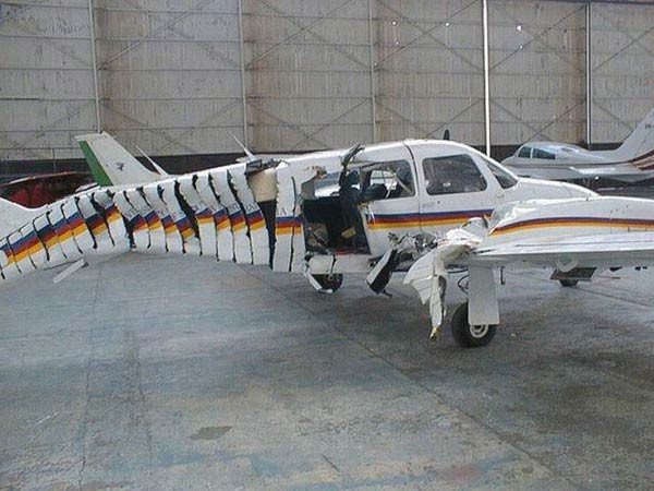 Haftanın en çok tıklanan fotoğrafları - Resim: 4