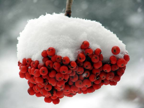 Türkiye güne kar görüntüleriyle uyandı! - Resim: 2