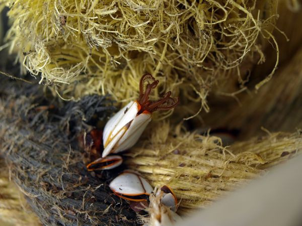 İşte size Dünya harikası fotoğraf kareleri - Resim: 1